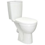 Унитаз-компакт Rosa Ресса для инв горизонт выпуск н/подвод с арм 2реж слив с сиденьем ПП белый Унитаз-компакт Rosa Ресса для инв горизонт выпуск н/подвод с арм 2реж слив с сиденьем ПП белый