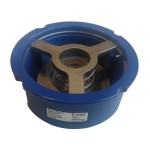 Клапан РИДАН обратный межфланцевый пружинный тарельчатый,чугун GJL250 (NVD-802R PN16 DN150)