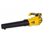 Воздуходув аккумуляторный Champion BB1811 с АКБ и З/У