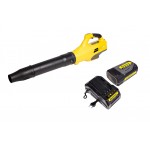 Воздуходув аккумуляторный Champion BB400 с АКБ и З/У