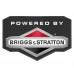Генератор бензиновый Briggs & Stratton Elite 8500 EA