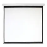 Экран 213x213см Digis Electra-F DSEF-1107 1:1 настенно-потолочный рулонный (моторизованный привод)