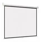 Экран 172x232см Digis Optimal-B DSOB-4305 4:3 настенно-потолочный рулонный белый