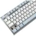 Клавиатура A4Tech Fstyler FS100 Neon механическая синий/белый USB for gamer LED (FS100)