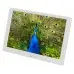 Фоторамка Digma 10.1" PF-1043 IPS 1280x800 белый пластик ПДУ Видео