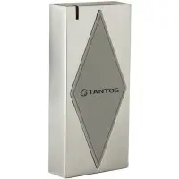 Считыватель карт Tantos TS-RDR-MF (00-00080683) уличный антивандальный