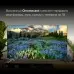 Телевизор LED Hyundai 75" H-LED75BU7006 Android TV Frameless черный 4K Ultra HD 60Hz DVB-T DVB-T2 DVB-C DVB-S DVB-S2 USB WiFi Smart TV
