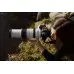 Фотоаппарат Canon EOS R7 черный 32.5Mpix 2.95" 4K WiFi LP-E6NH