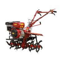 Культиватор бензиновый FERMER FM-1617MXL без колес
(16 л.с., шир. 105 см, без колес, без ВОМ, передач 3+1, пониженная передача)