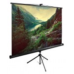 Экран Cactus 220x220см TriExpert CS-PSTE-220x220-BK 1:1 напольный рулонный черный