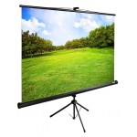 Экран Cactus 150x200см TriExpert CS-PSTE-200x150-BK 4:3 напольный рулонный черный