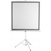 Экран Digis 96" 172x172см Kontur-D DSKD-1104 1:1 напольный рулонный