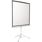 Экран Digis 96" 172x172см Kontur-D DSKD-1104 1:1 напольный рулонный
