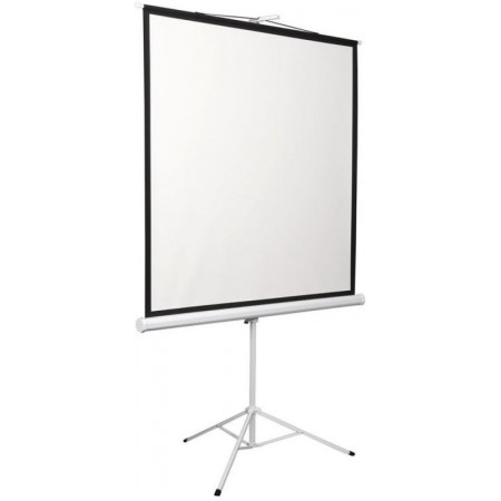 Экран Digis 96" 172x172см Kontur-D DSKD-1104 1:1 напольный рулонный
