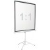 Экран Digis 96" 172x172см Kontur-D DSKD-1104 1:1 напольный рулонный