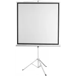 Экран Digis 112" 200x200см Kontur-D DSKD-1106 1:1 напольный рулонный