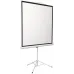 Экран Digis 112" 200x200см Kontur-D DSKD-1106 1:1 напольный рулонный