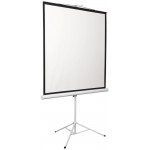 Экран Digis 86" 130x172см Kontur-D DSKD-4302 4:3 напольный рулонный Экран Digis 86" 130x172см Kontur-D DSKD-4302 4:3 напольный рулонный