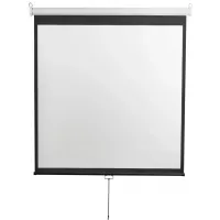 Экран Digis 240x240см Optimal-D DSOD-1107 1:1 настенно-потолочный рулонный Экран Digis 240x240см Optimal-D DSOD-1107 1:1 настенно-потолочный рулонный