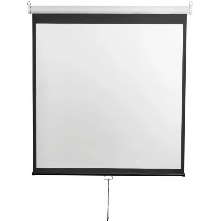 Экран Digis 167" 300x300см Optimal-D DSOD-1108 1:1 настенно-потолочный рулонный