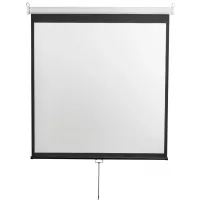 Экран Digis 120" 180x240см Optimal-D DSOD-4304 1:1 настенно-потолочный рулонный