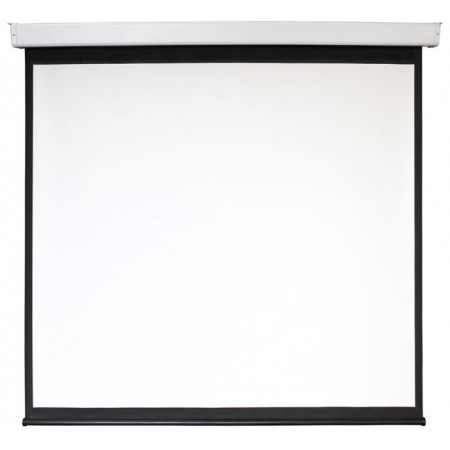 Экран Digis 112" 209x206см Electra-F DSEF-1106 1:1 настенно-потолочный рулонный (моторизованный привод)