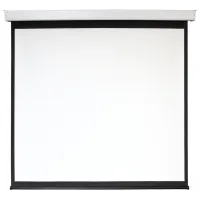 Экран Digis 167" 300x300см Electra-F DSEF-1110 1:1 настенно-потолочный рулонный (моторизованный привод)