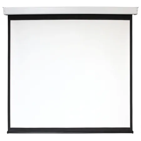 Экран Digis 167" 300x300см Electra-F DSEF-1110 1:1 настенно-потолочный рулонный (моторизованный привод)