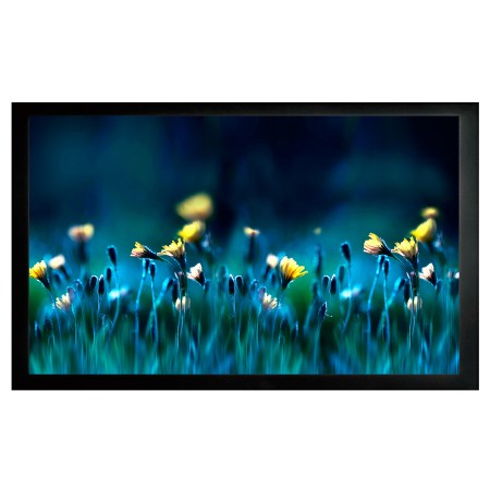 Экран на раме Cactus 113x200см FrameExpert CS-PSFRE-200X113 16:9 настенный натяжной