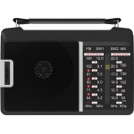 Радиоприемник портативный Ritmix RPR-190 черный