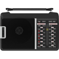 Радиоприемник портативный Ritmix RPR-190 черный Радиоприемник портативный Ritmix RPR-190 черный