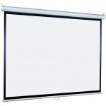 Экран Lumien 127x127см Eco Picture LEP-100106 1:1 настенно-потолочный рулонный