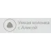 Умная колонка Yandex Станция Мини без часов Алиса серый 10W 1.0 BT 10м (YNDX-00021G)