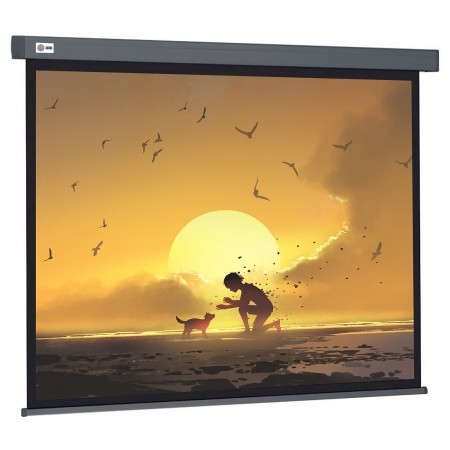 Экран Cactus 124.5x221см Wallscreen CS-PSW-124X221-SG 16:9 настенно-потолочный рулонный серый