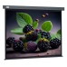 Экран Cactus 127x127см Wallscreen CS-PSW-127X127-SG 1:1 настенно-потолочный рулонный серый