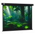 Экран Cactus 213x213см Wallscreen CS-PSW-213X213-BK 1:1 настенно-потолочный рулонный черный