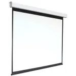 Экран Digis 273x159см Electra-F DSEF-16905 16:9 настенный рулонный белый (моторизованный привод) Экран Digis 273x159см Electra-F DSEF-16905 16:9 настенный рулонный белый (моторизованный привод)