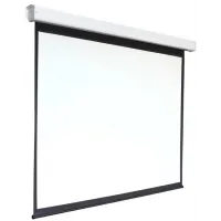 Экран Digis 273x159см Electra-F DSEF-16905 16:9 настенный рулонный белый (моторизованный привод) Экран Digis 273x159см Electra-F DSEF-16905 16:9 настенный рулонный белый (моторизованный привод)