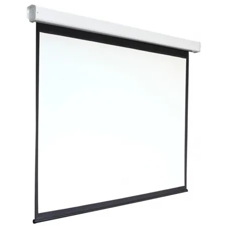 Экран Digis 273x159см Electra-F DSEF-16905 16:9 настенный рулонный белый (моторизованный привод) Экран Digis 273x159см Electra-F DSEF-16905 16:9 настенный рулонный белый (моторизованный привод)