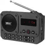 Радиоприемник портативный Ritmix RPR-010 серый USB microSD