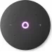 Умная колонка Yandex Станция Мини 3 Про Алиса серый 18W 2.0 BT/Wi-Fi (YNDX-00059GRY)