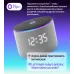 Умная колонка Yandex Станция Мини 3 Про Алиса серый 18W 2.0 BT/Wi-Fi (YNDX-00059GRY)