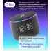 Умная колонка Yandex Станция Мини 3 Про Алиса черный 18W 2.0 BT/Wi-Fi (YNDX-00059BLK)
