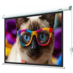 Экран Lumien 84" 137x192см Eco Control LEC-100118 16:9 настенно-потолочный рулонный белый (моторизованный привод)