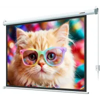 Экран Lumien 100" 157x227см Eco Control LEC-100119 16:9 настенно-потолочный рулонный белый (моторизованный привод)