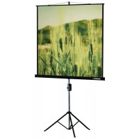 Экран Lumien 127x127см Master Picture LMP-100101 1:1 настенный рулонный белый