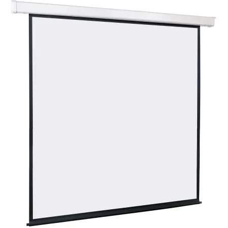 Экран Lumien 119" 220x220см Master Control LMC-100125 1:1 настенно-потолочный рулонный (моторизованный привод) Экран Lumien 119" 220x220см Master Control LMC-100125 1:1 настенно-потолочный рулонный (моторизованный привод)