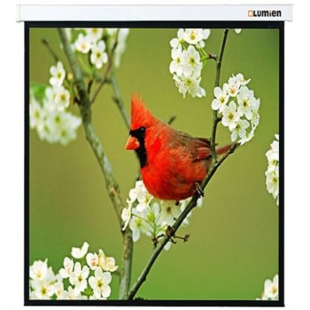 Экран Lumien 119" 220x220см Master Picture LMP-100129 1:1 настенно-потолочный рулонный Экран Lumien 119" 220x220см Master Picture LMP-100129 1:1 настенно-потолочный рулонный