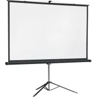 Экран на треноге Lumien 244x244см Master View LMV-100105 1:1 напольный рулонный