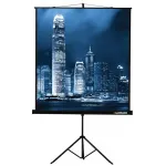 Экран на треноге Lumien 120" 183x244см Master View LMV-100108 4:3 напольный рулонный черный